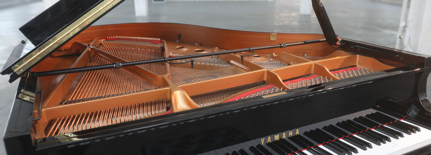 Earthworks PM40 Piano Mic System