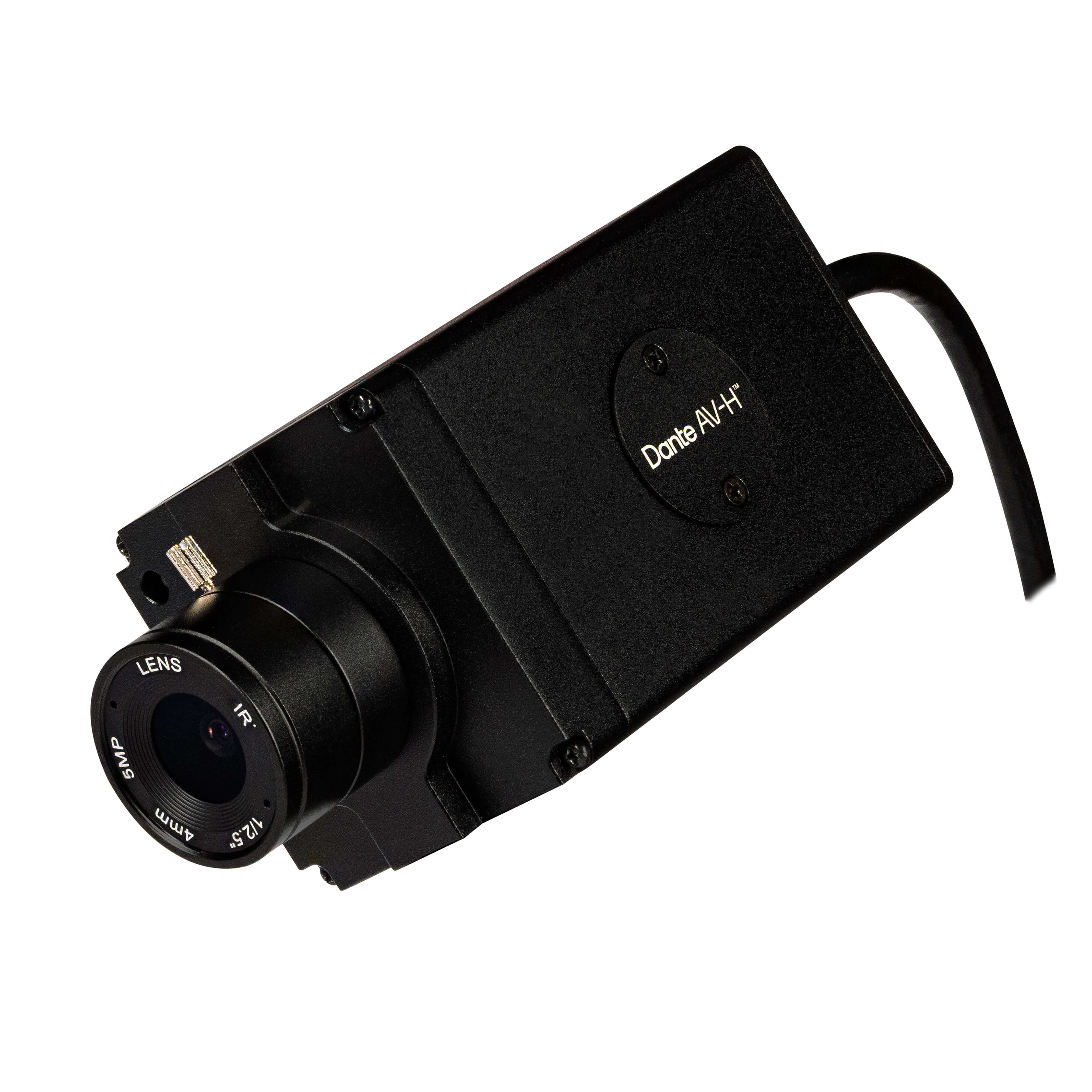 AIDA HD-AVH-100A - 1080p HD Dante AV-H POV Camera, tipped