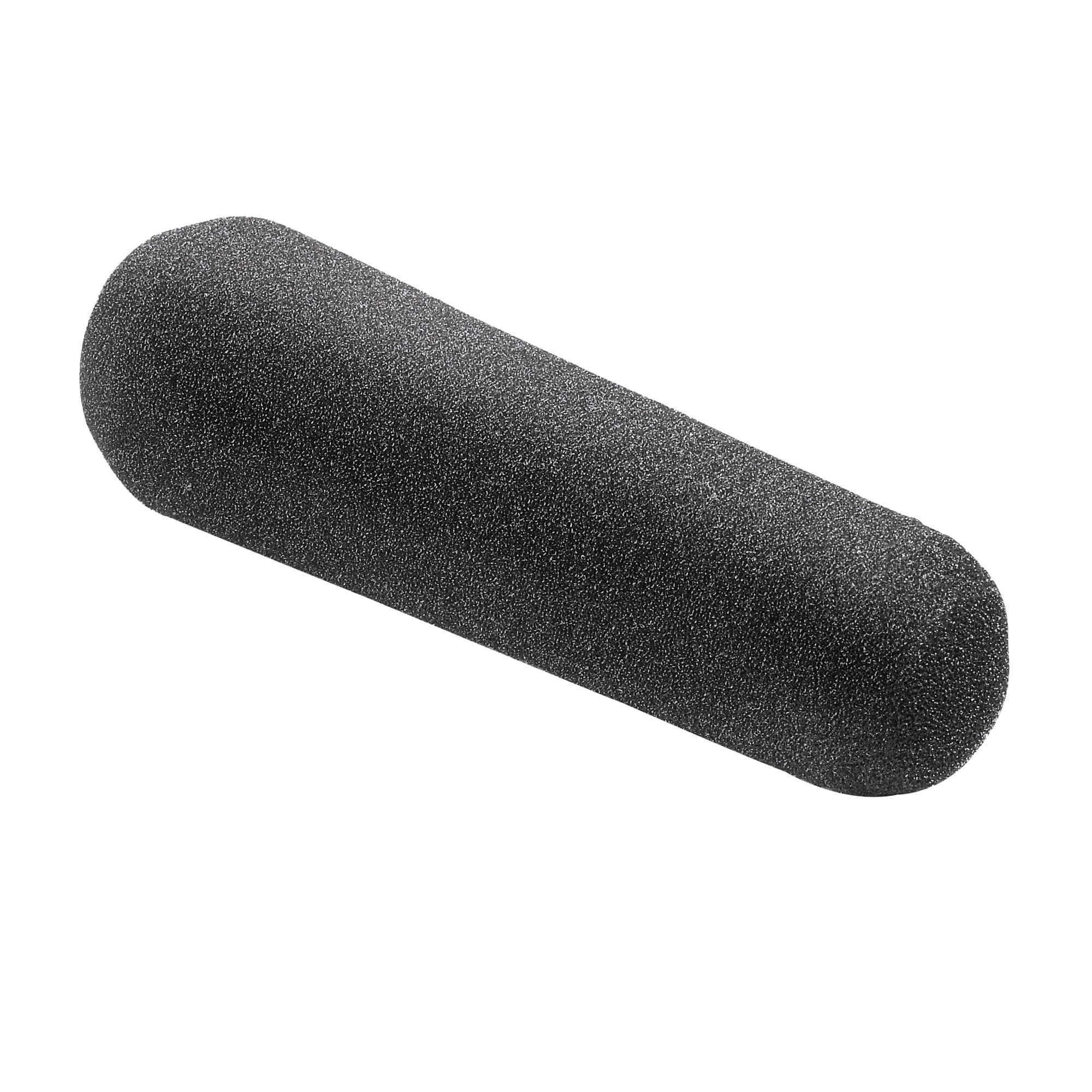 Audio-Technica AT4081 Phantom-powered Bidirectional Ribbon Microphone, windscreen