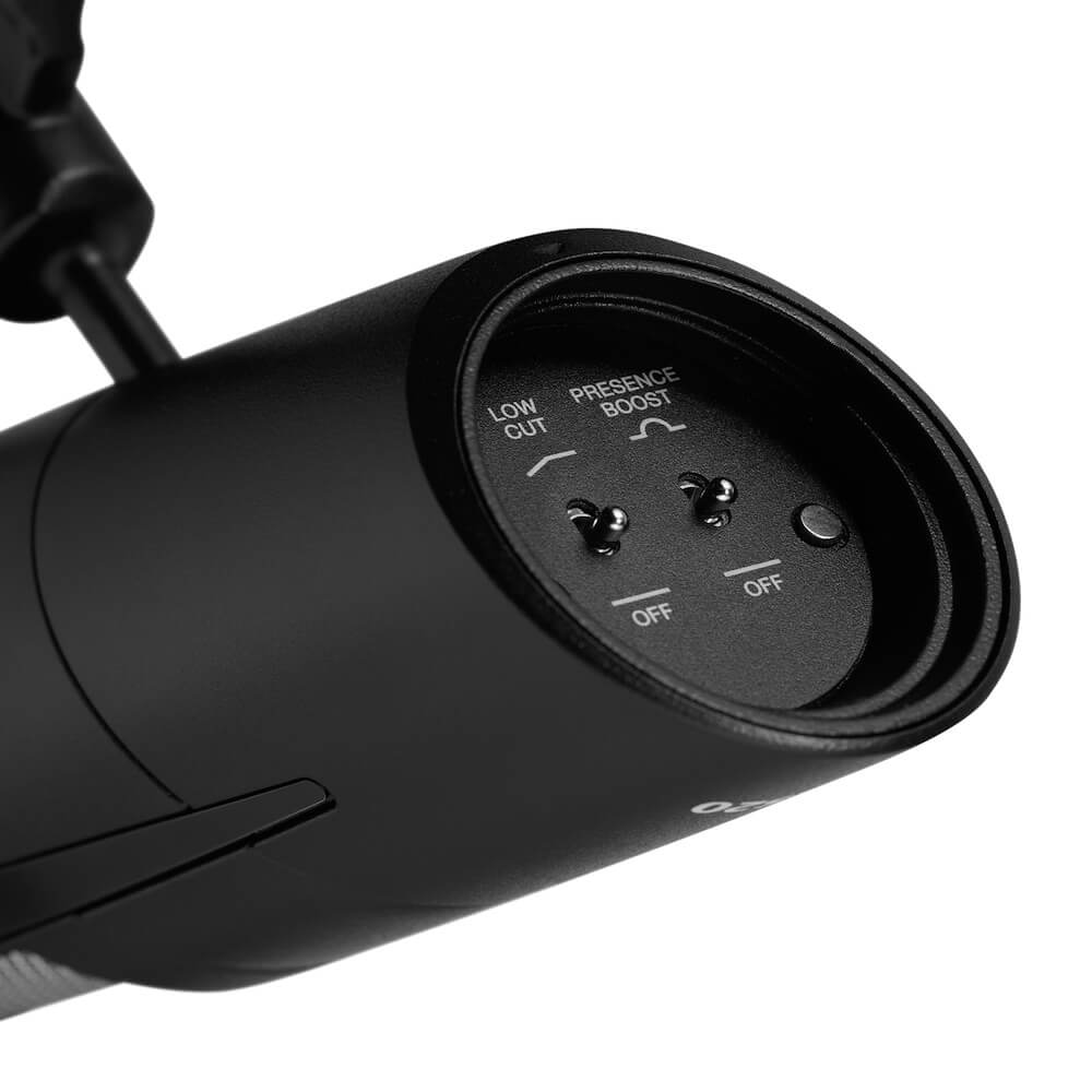 Audix PDX520 - Dynamic Cardioid Vocal Microphone, switches