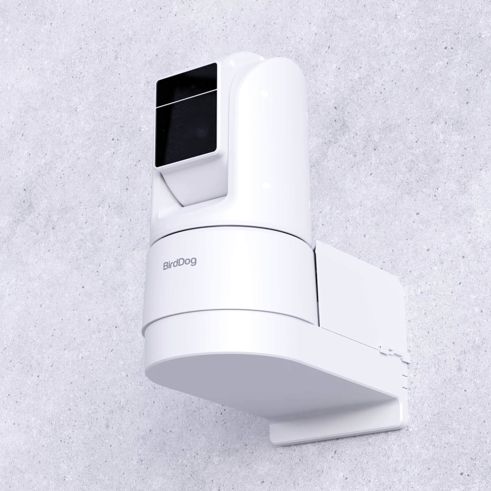 BirdDog BDO4W - 4K60 Outdoor PTZ Camera with 30x Optical Zoom, outdoors