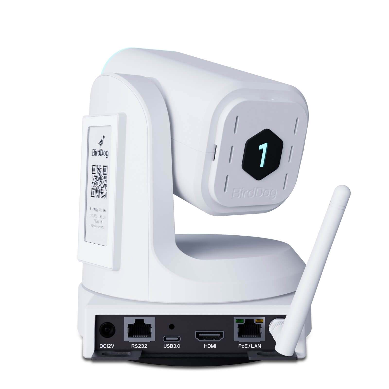 BirdDog BDX1-30W - Full HD PTZ Camera with 30x Optical Zoom, rear angle