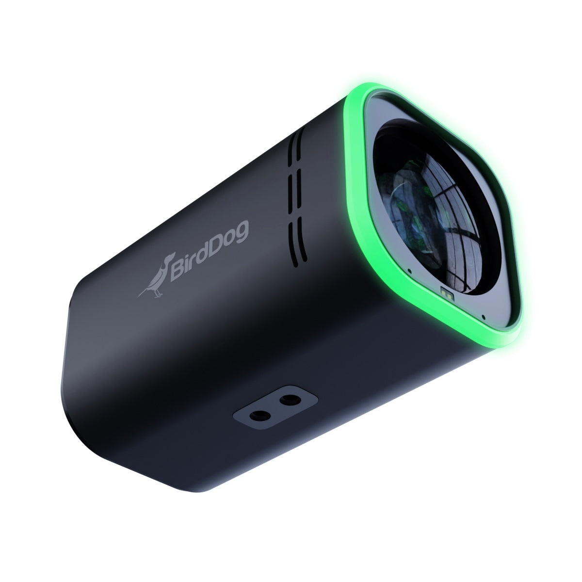 BirdDog MAKI Ultra - 4K NDI|HX3 Camera with 12x Optical Zoom, black
