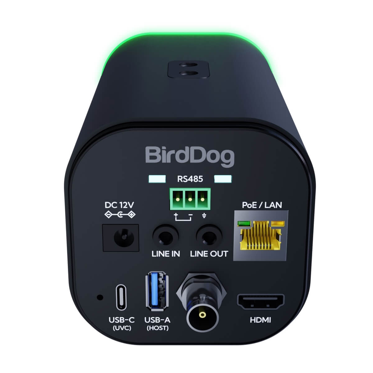 BirdDog MAKI Ultra - 4K NDI|HX3 Camera with 12x Optical Zoom, black