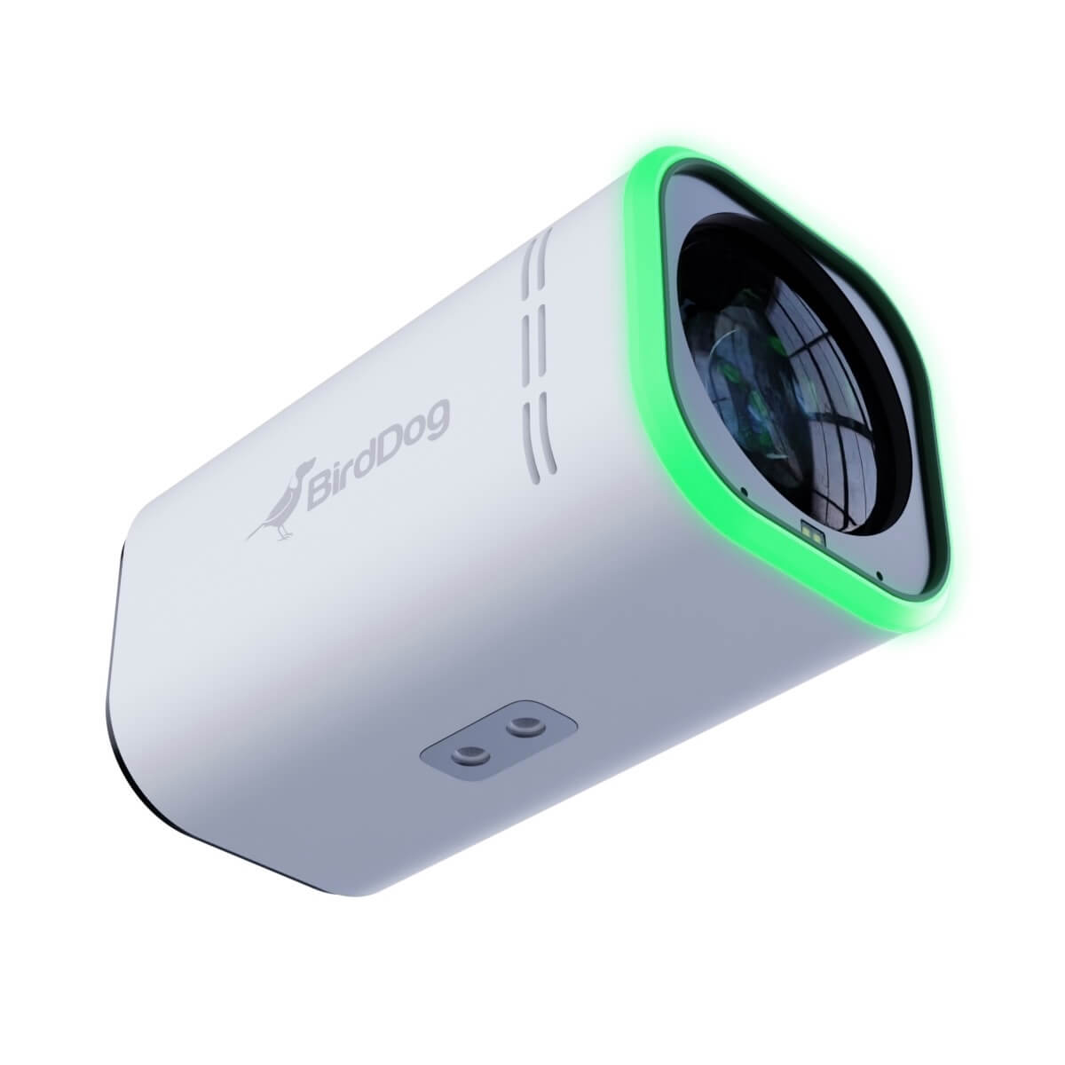 BirdDog MAKI Ultra - 4K NDI|HX3 Camera with 12x Optical Zoom, white