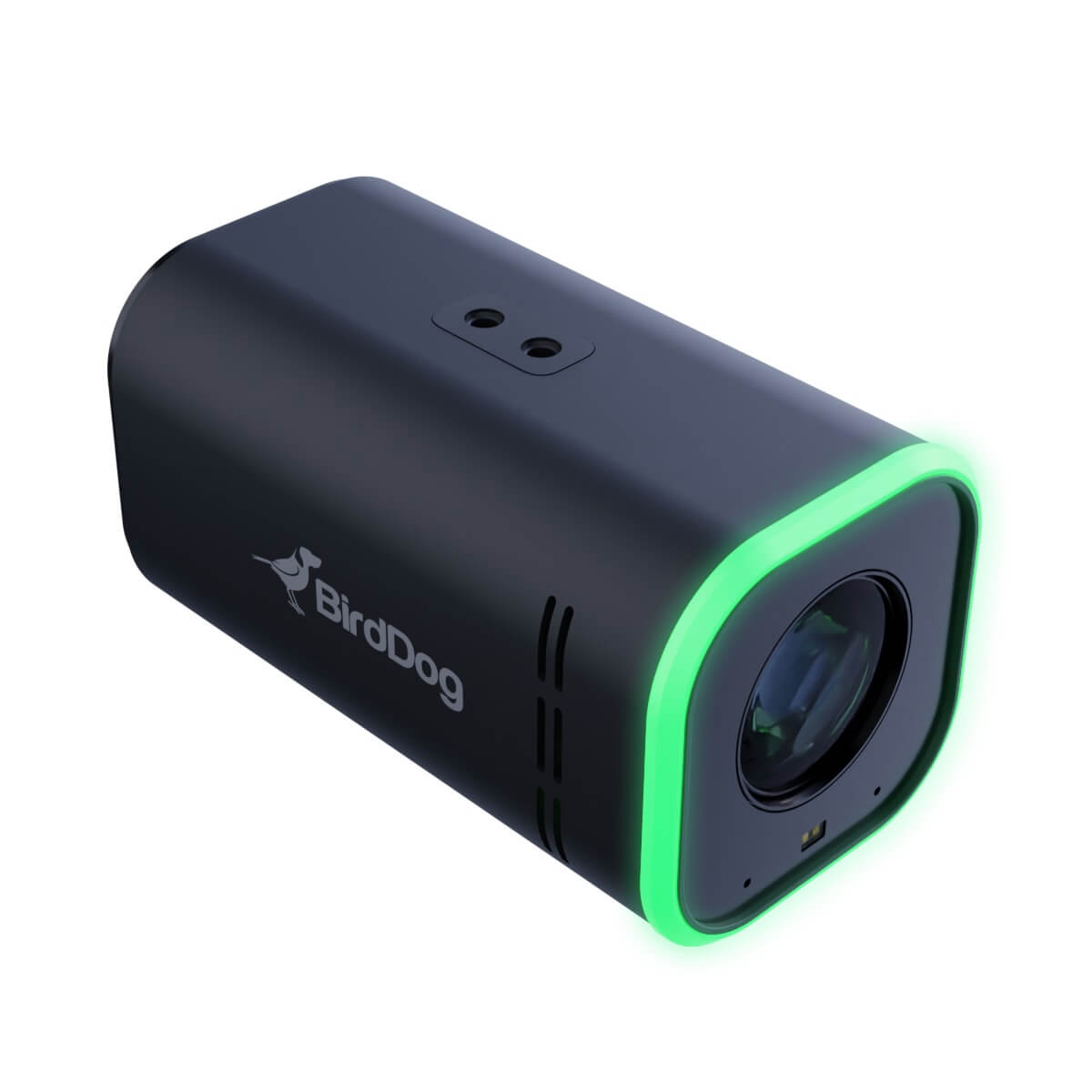 BirdDog MAKI Ultra - 4K NDI|HX3 Camera with 20x Optical Zoom, black