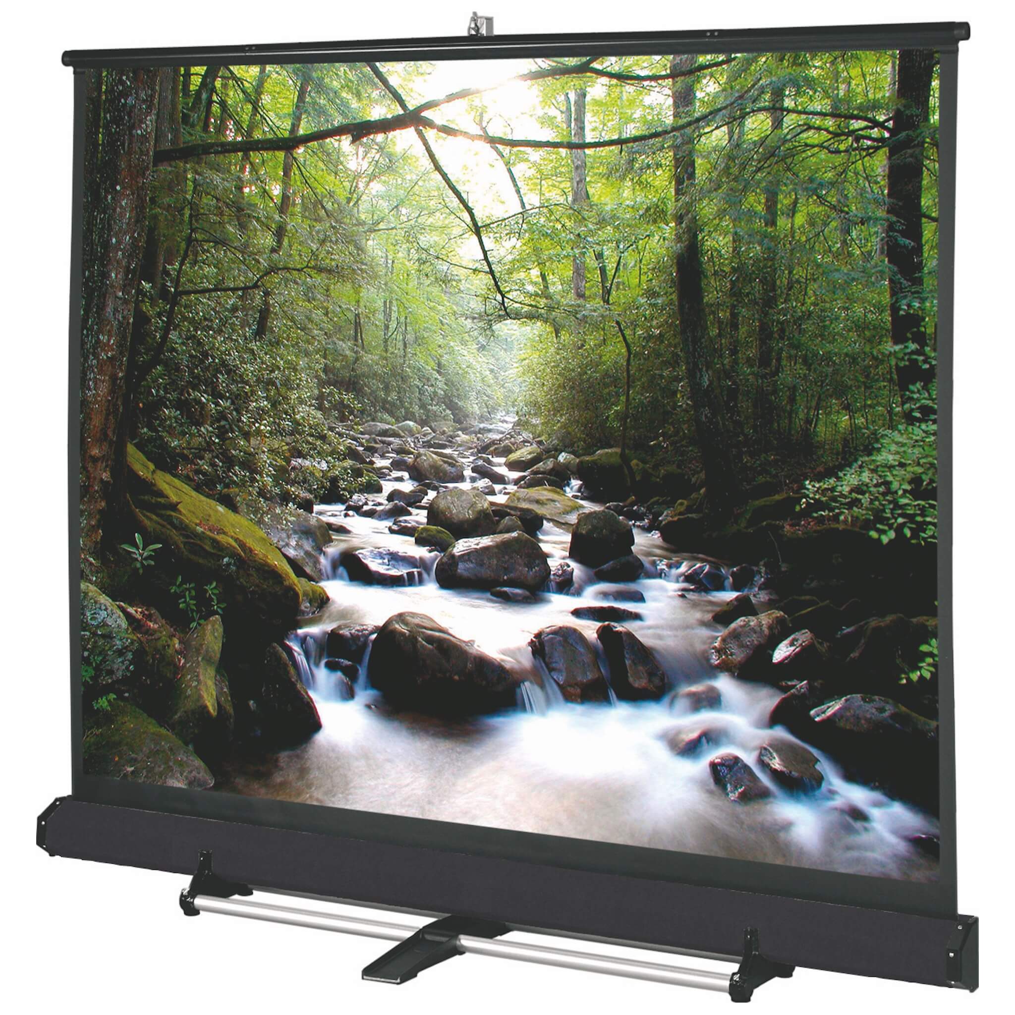 Da-Lite Floor Model C - Heavy-Duty Pull-Up Screen for Rental and Stage, carpeted