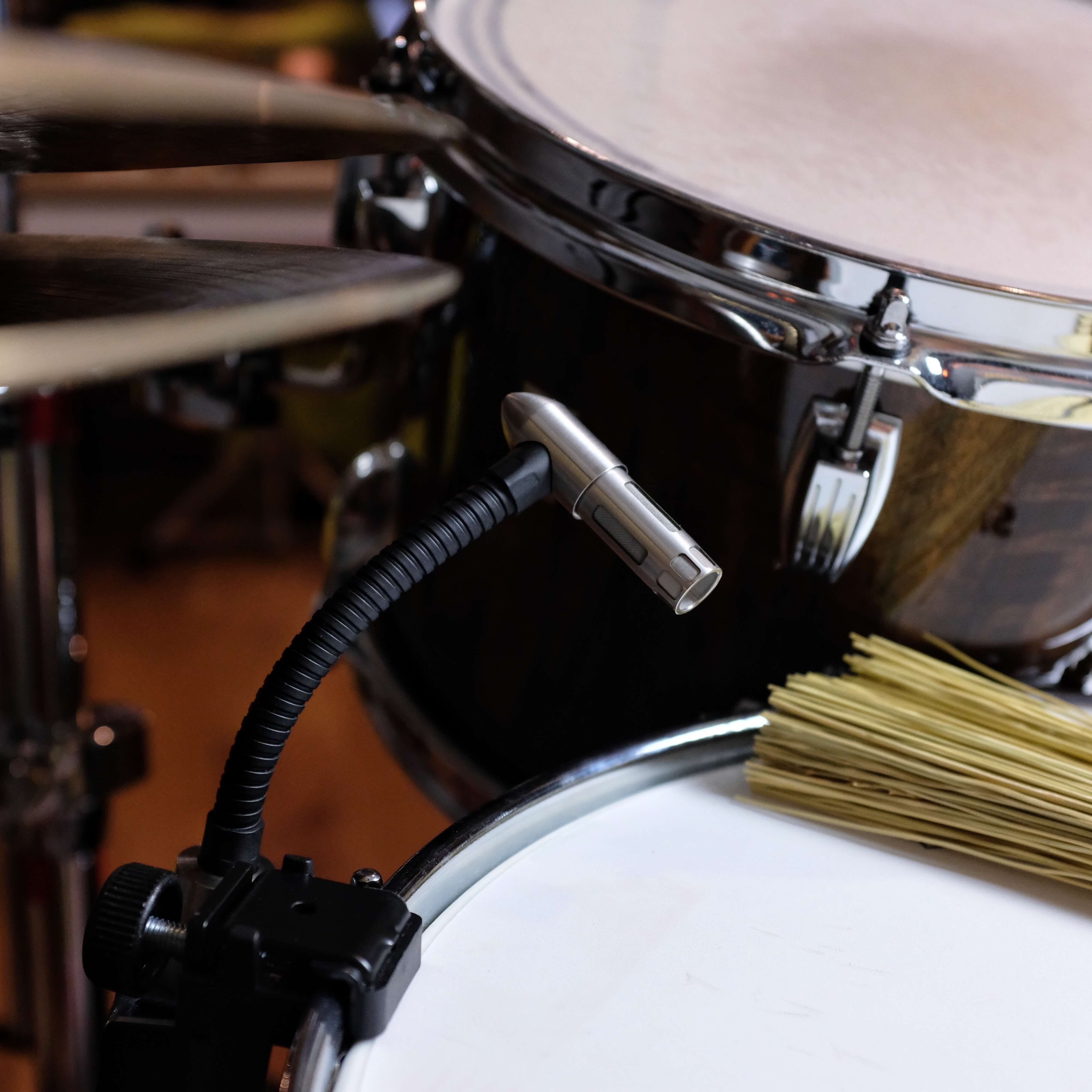 Earthworks DM20 Gen 2 - Cardioid Gooseneck Tom & Snare Drum Microphone, rim mount