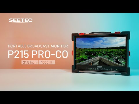 Seetec P215 PRO-CO - 21.5-inch 1000nit Broadcast Monitor with Protective Case for Film Makers and Directors