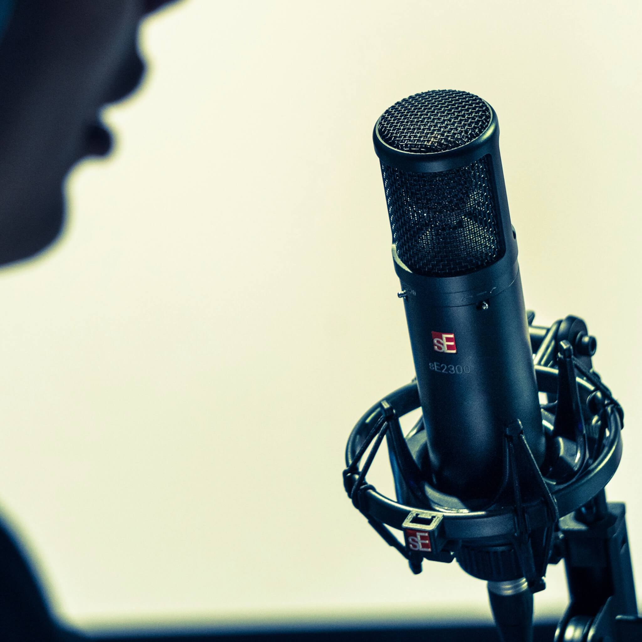 sE Electronics sE2300 - Multi Pattern Large Diaphragm Condenser Microphone, in use with a vocalist