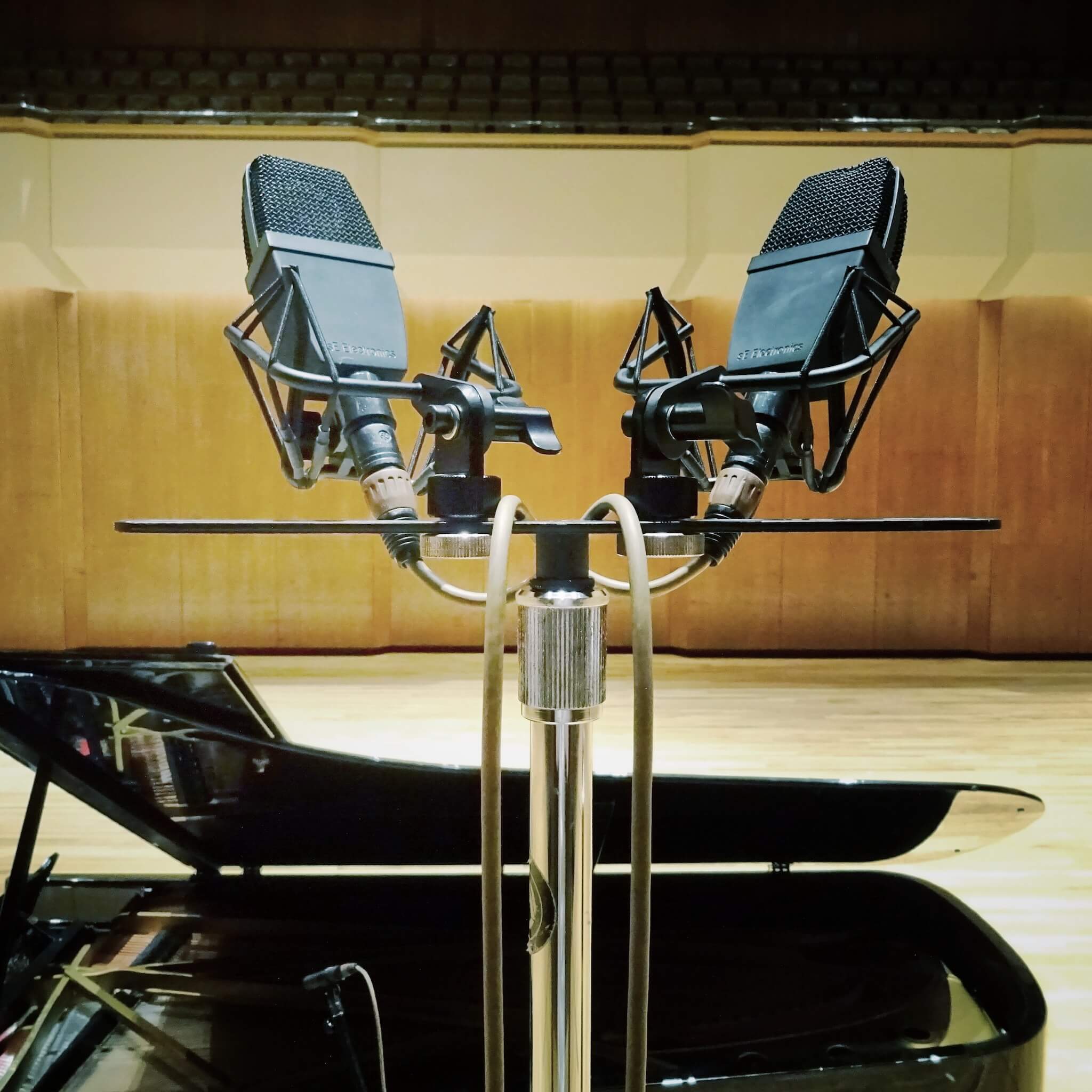 sE Electronics sE4400a SP - Matched Pair of sE4400 Microphones, in use over a piano