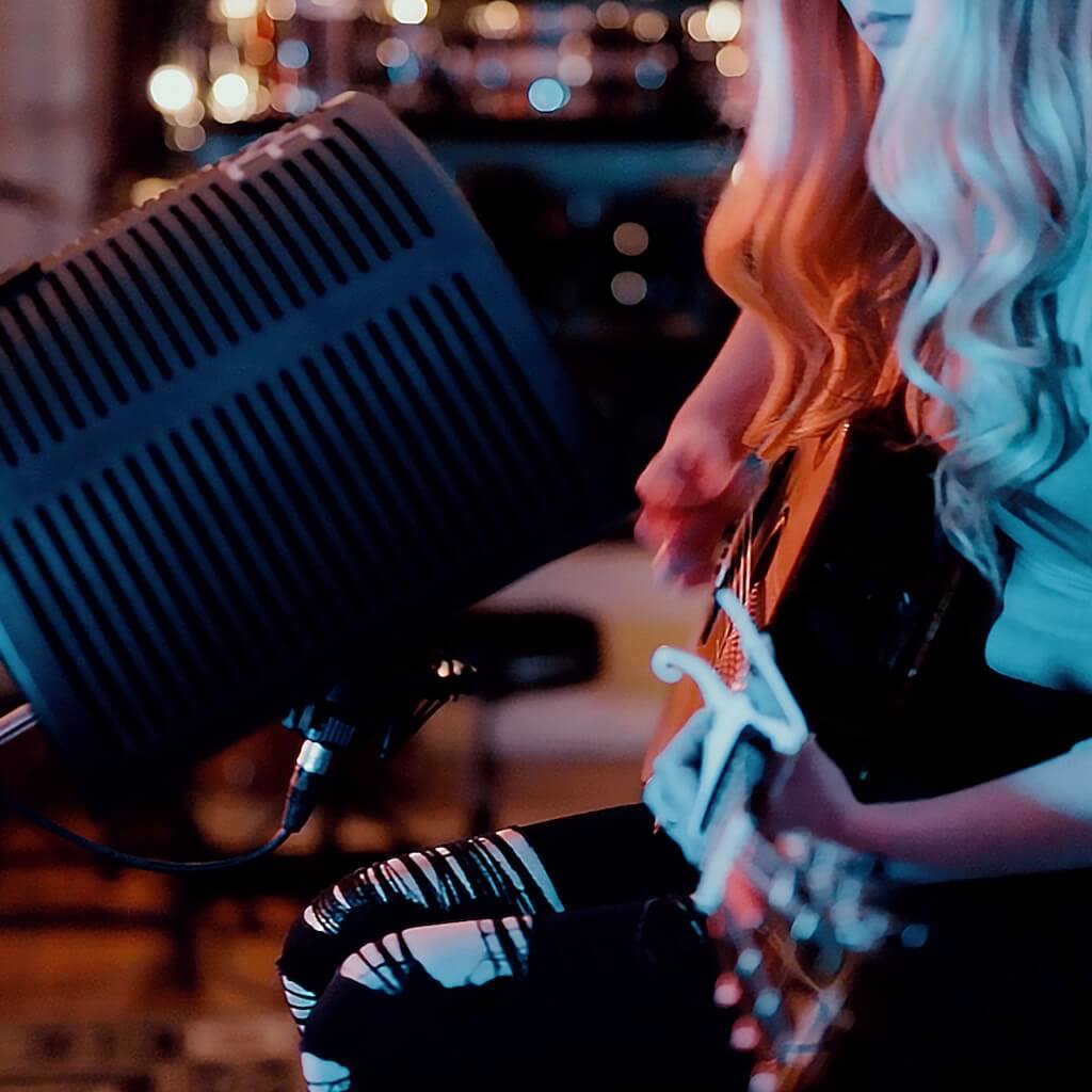 sE Electronics RF-X - Portable Isolation Filter, in use