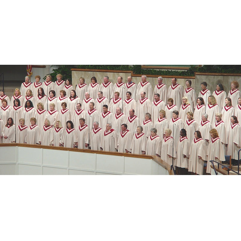 Earthworks FW430/HC FlexWand - Integrated Hypercardioid Mic System for choirs
