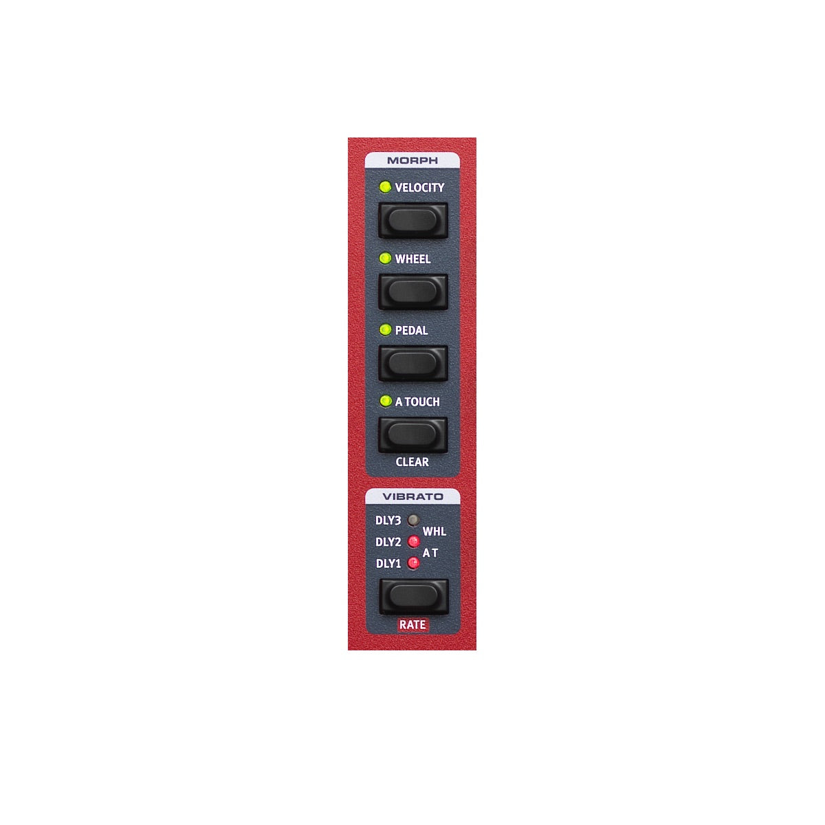 Nord Wave 2 - Performance Synthesizer, 61-note Keyboard with Aftertouch, morph controls
