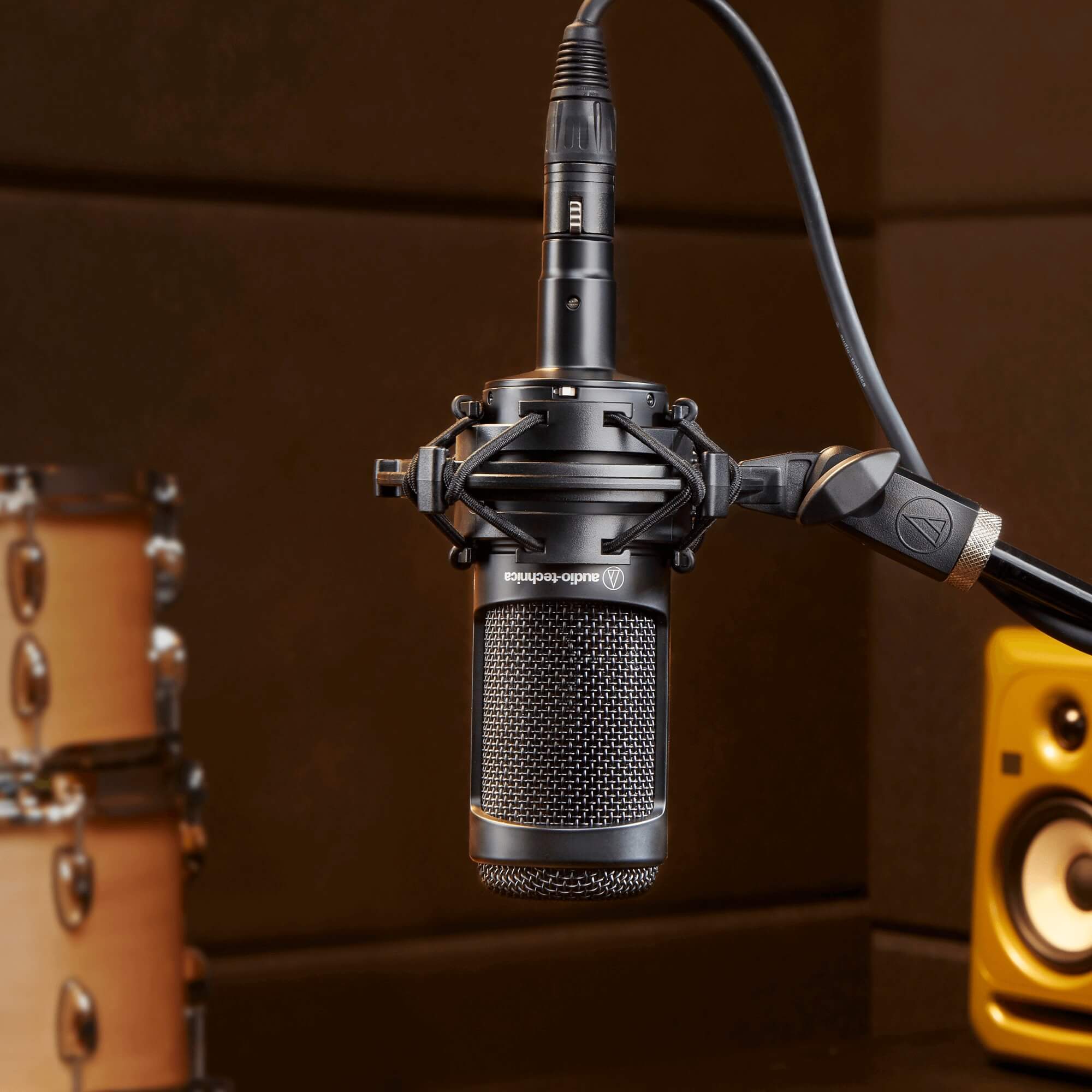 Audio-Technica AT2050 - Multi-pattern Condenser Microphone, in the studio