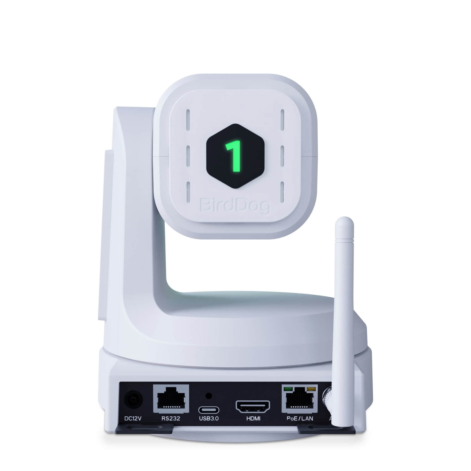 BirdDog BDX1UW - 4K30 PTZ Camera with 12x Optical Zoom, rear