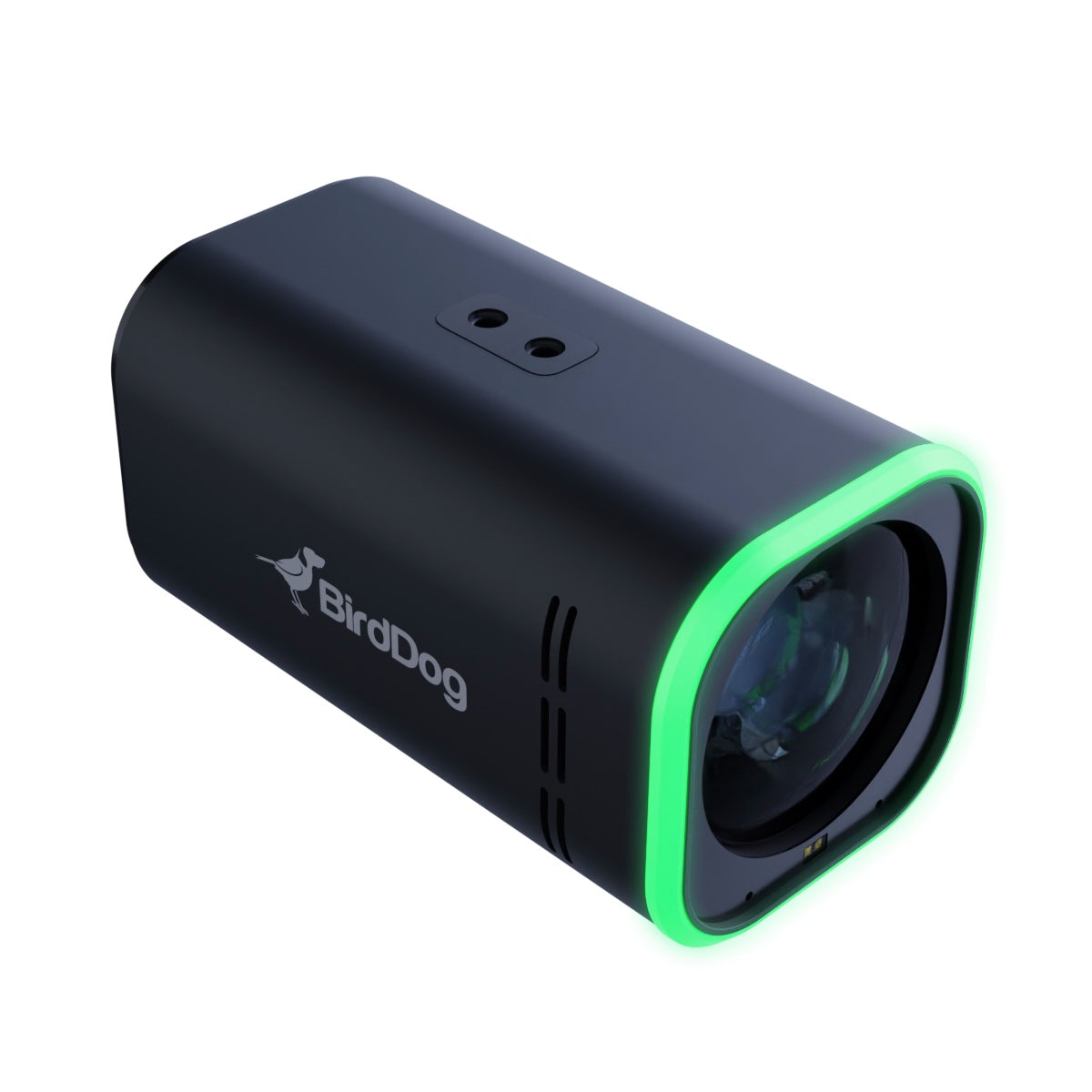 BirdDog MAKI Ultra - 4K NDI|HX3 Camera with 12x Optical Zoom, black