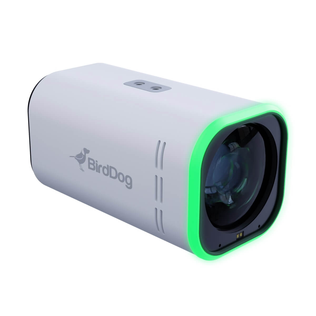 BirdDog MAKI Ultra - 4K NDI|HX3 Camera with 12x Optical Zoom, white
