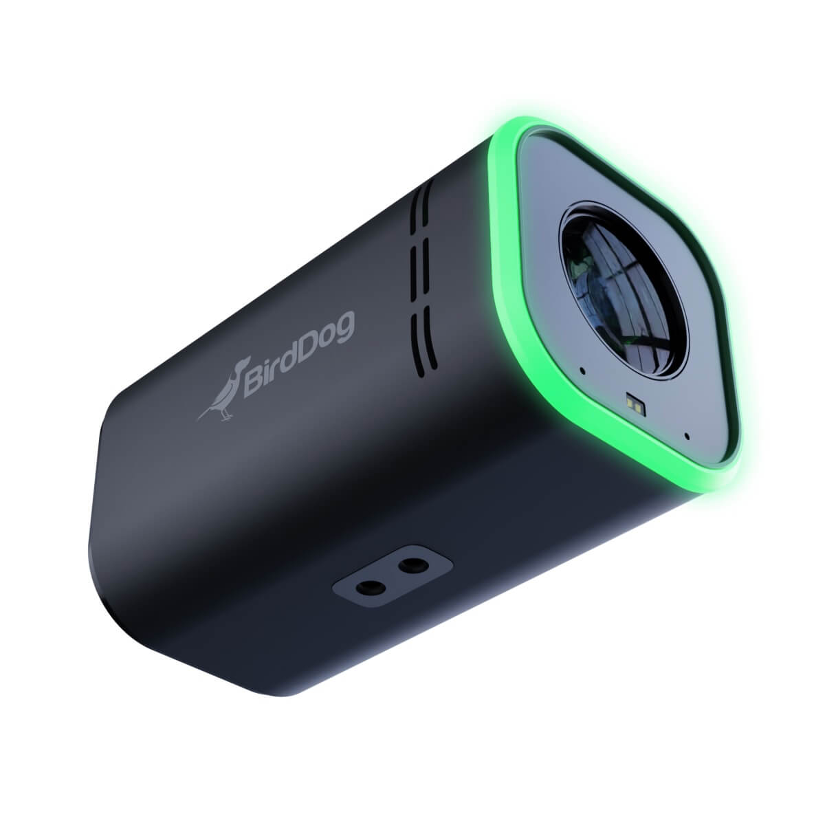 BirdDog MAKI Ultra - 4K NDI|HX3 Camera with 20x Optical Zoom, black