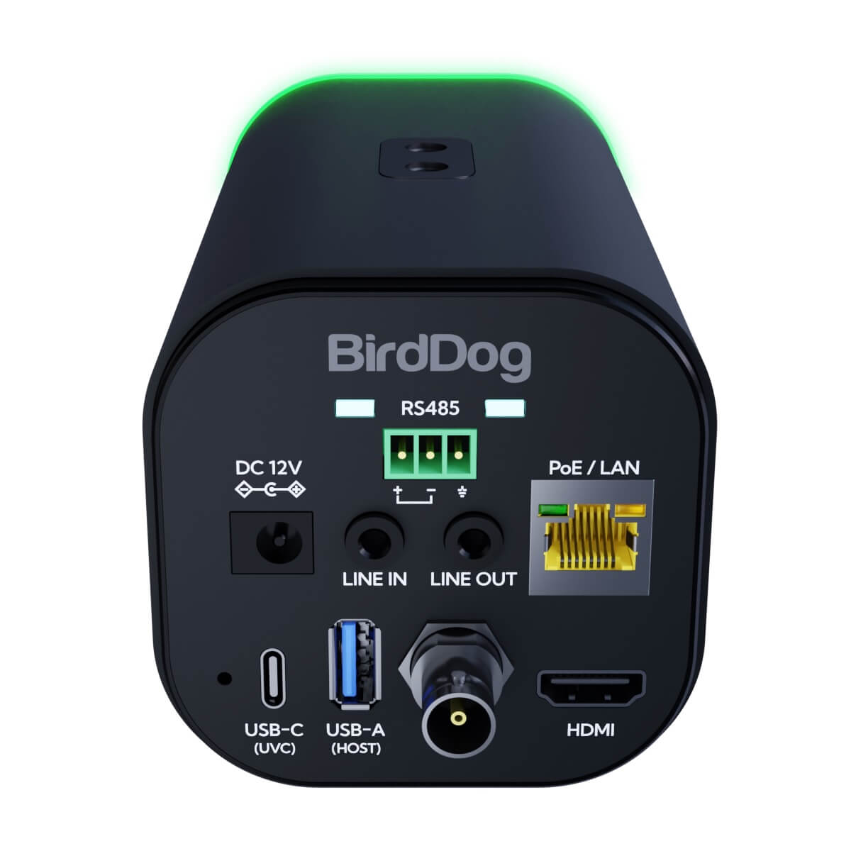 BirdDog MAKI Ultra - 4K NDI|HX3 Camera with 20x Optical Zoom, black