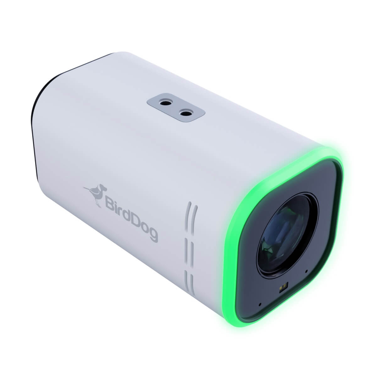 BirdDog MAKI Ultra - 4K NDI|HX3 Camera with 20x Optical Zoom, white