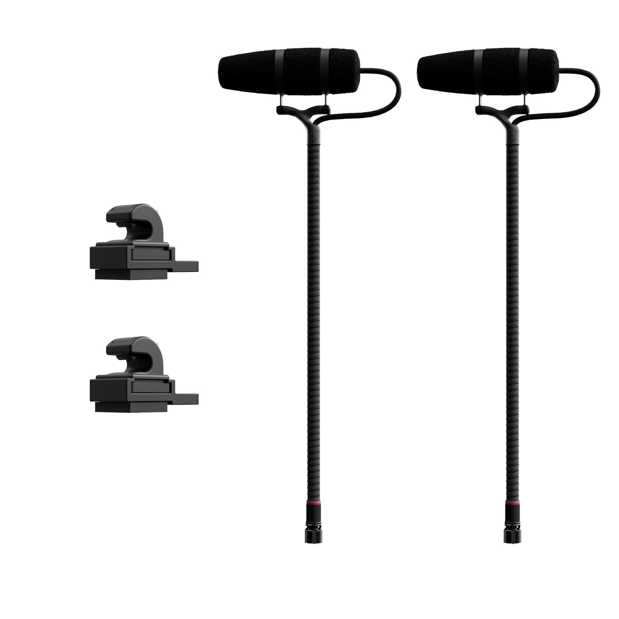 DPA 4099 CORE+ 2 Mics, Loud SPL, Stereo System for Accordion