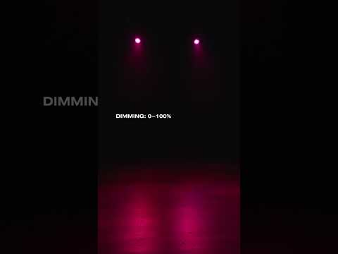 ADJ Eliminator Fantasy FX - Dual-Effect Lighting Fixture, YouTube video short