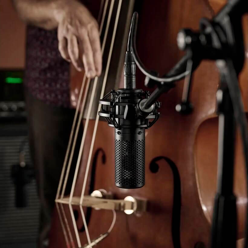 Shure KSM44MP - Large Diaphragm Multi-Pattern Condenser Microphone, studio miking standup bass