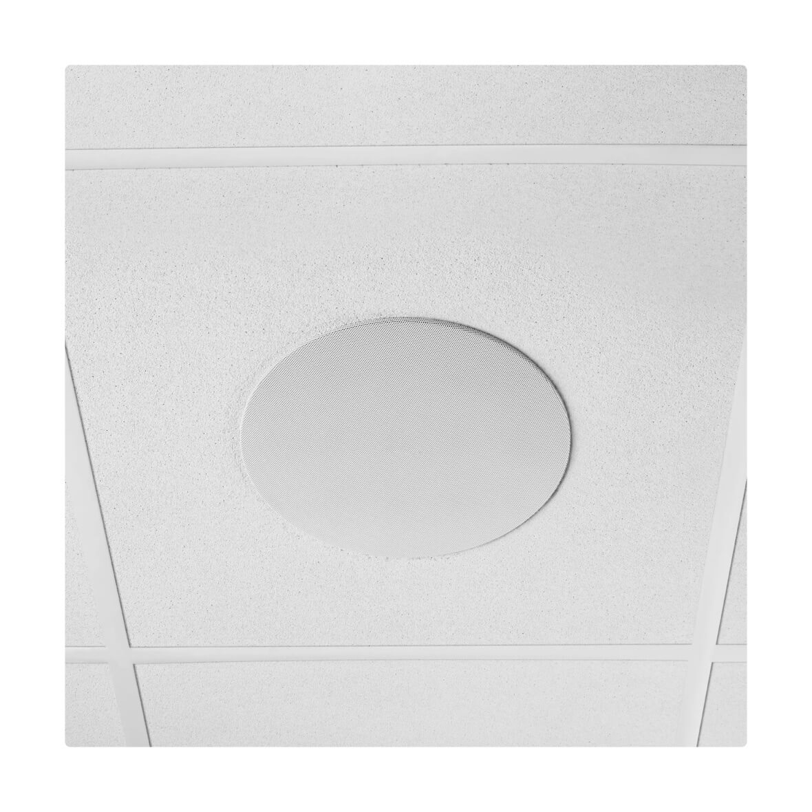 Shure MXN5W-C - Microflex Networked Ceiling Loudspeaker, drop ceiling mount