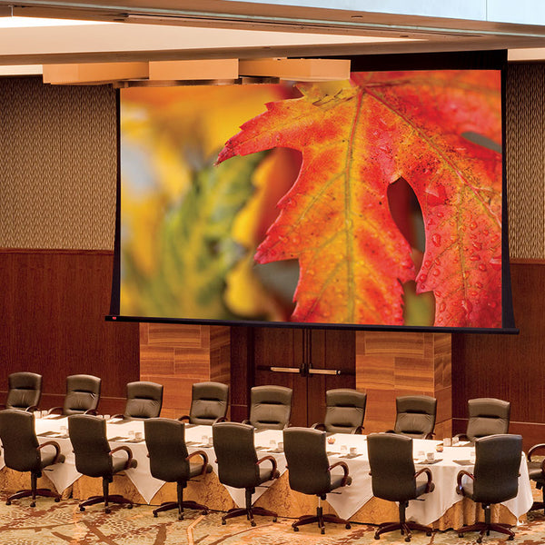 Draper Paragon V Electric Projection Screen TecVision (XH800X UST ALR) in a hotel conference room
