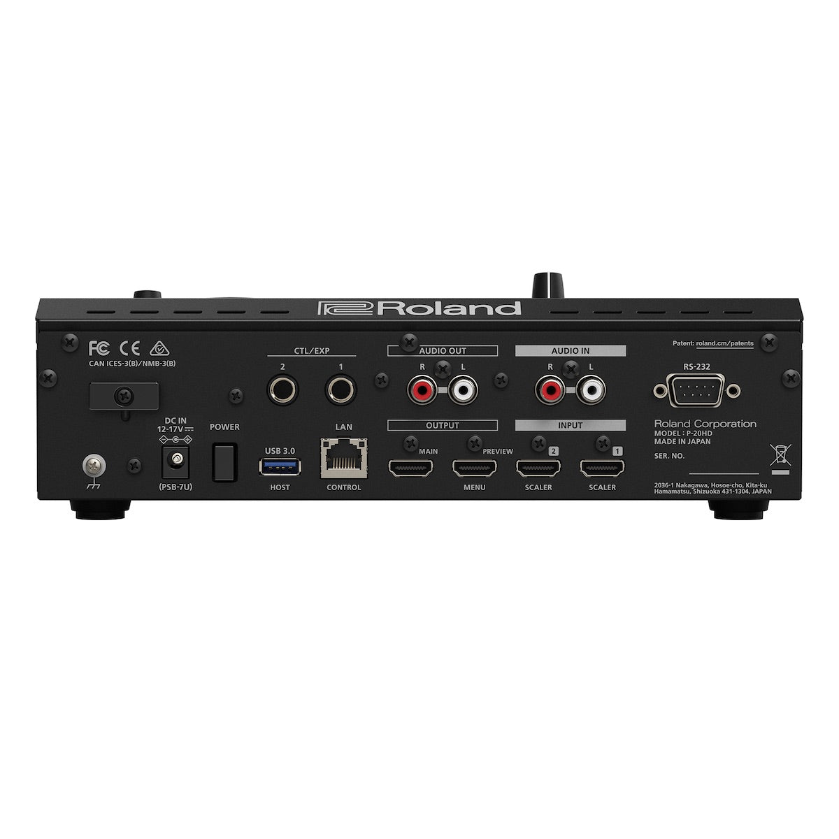 Roland P-20HD - Video Instant Replayer, rear